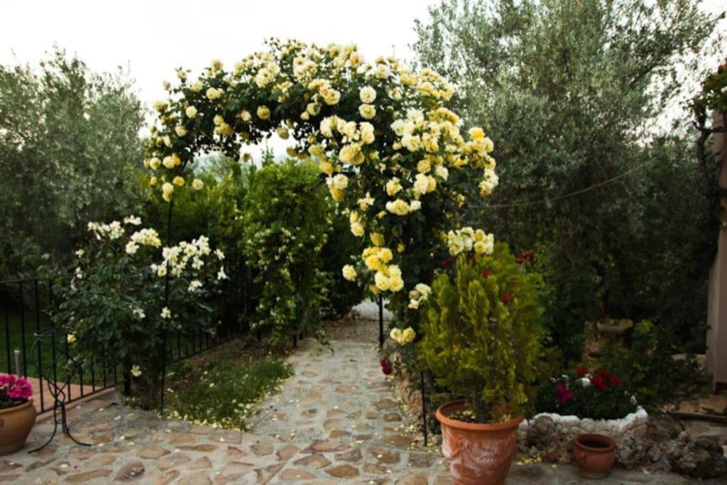 Cazorla-Alcon, Casa Hoya Don Gaspar Pozo Alcón Esterno foto